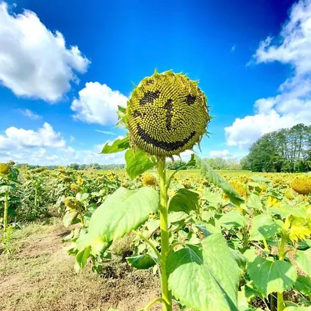Appartement Radstation *