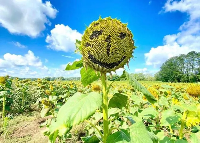 Apartman Radstation *